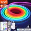 Tuya Smart LED Neon Strip Lights DC 12V Dreamcolor RGB Lamp Tape 1m 2m 3m 4m 5m Remote APP Control Music Sync Room Decoration